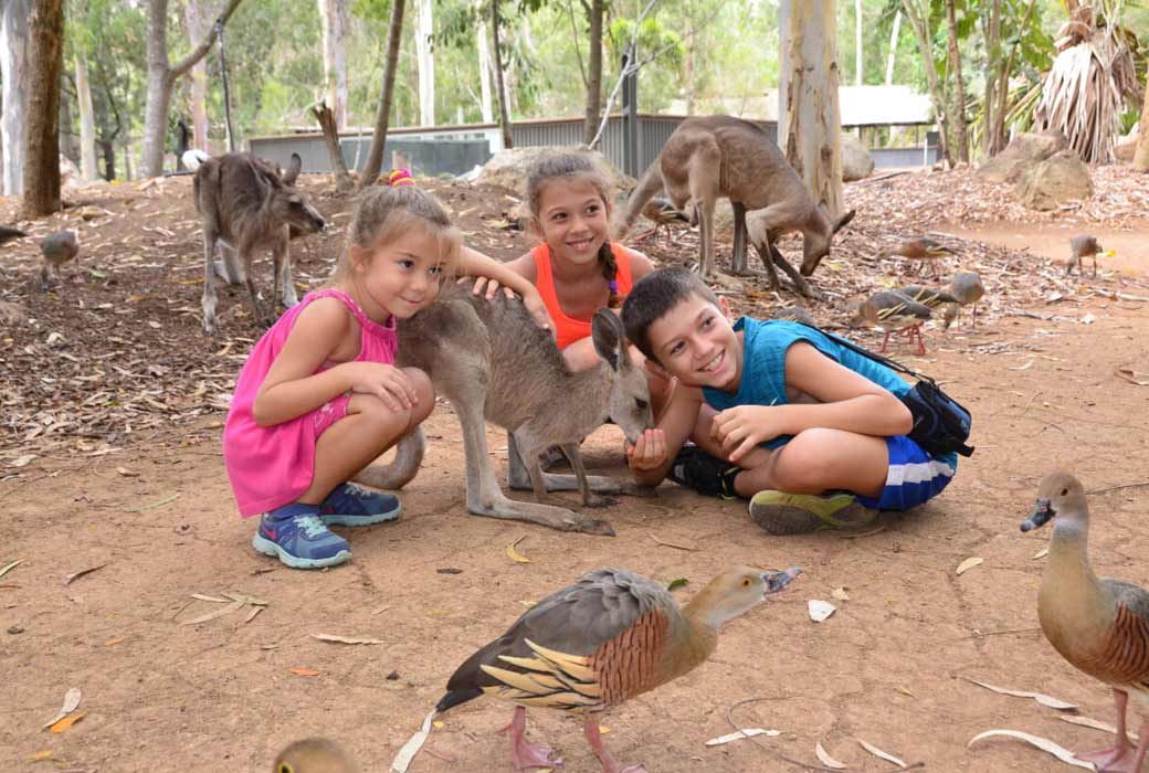 Billabong Sanctuary
