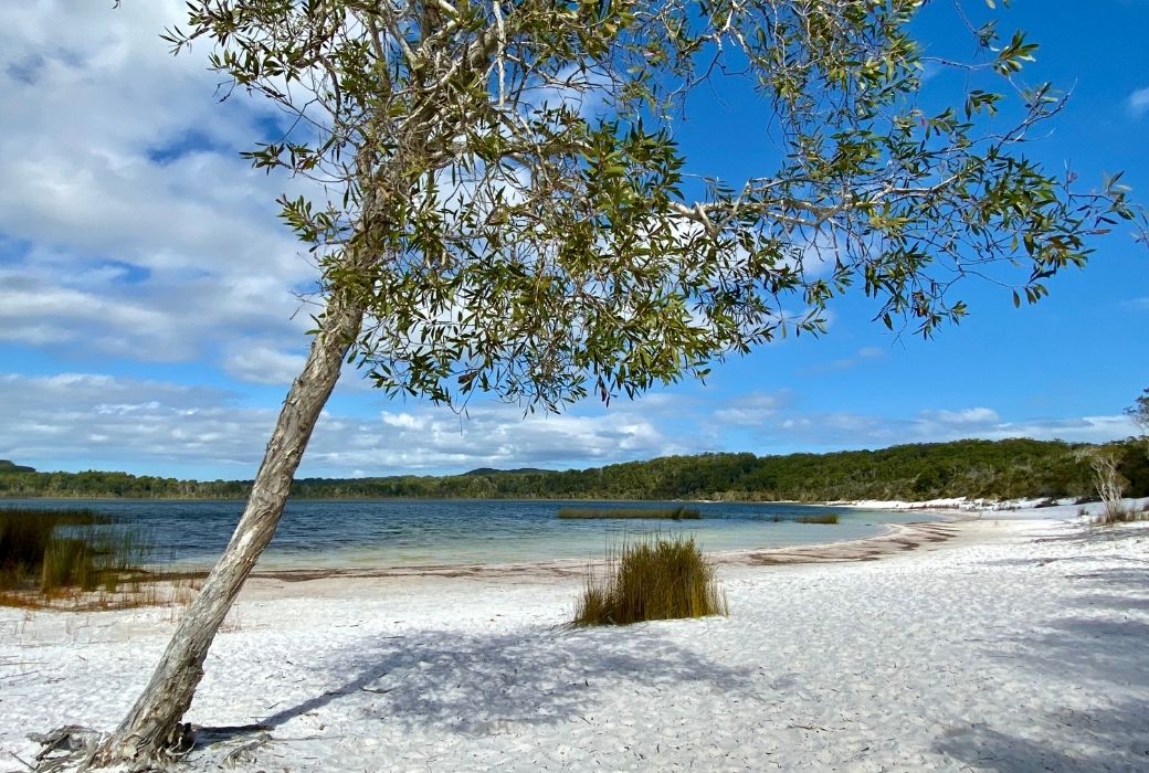 Lake Mckenzie Fraser Island