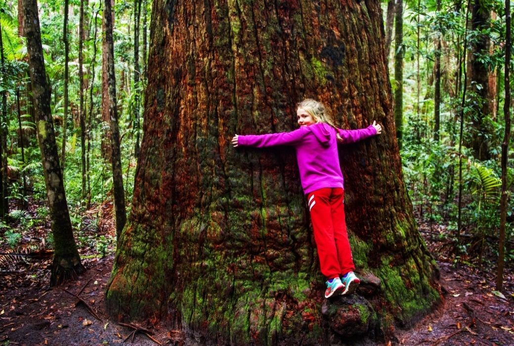 Fraser Island tours with kids