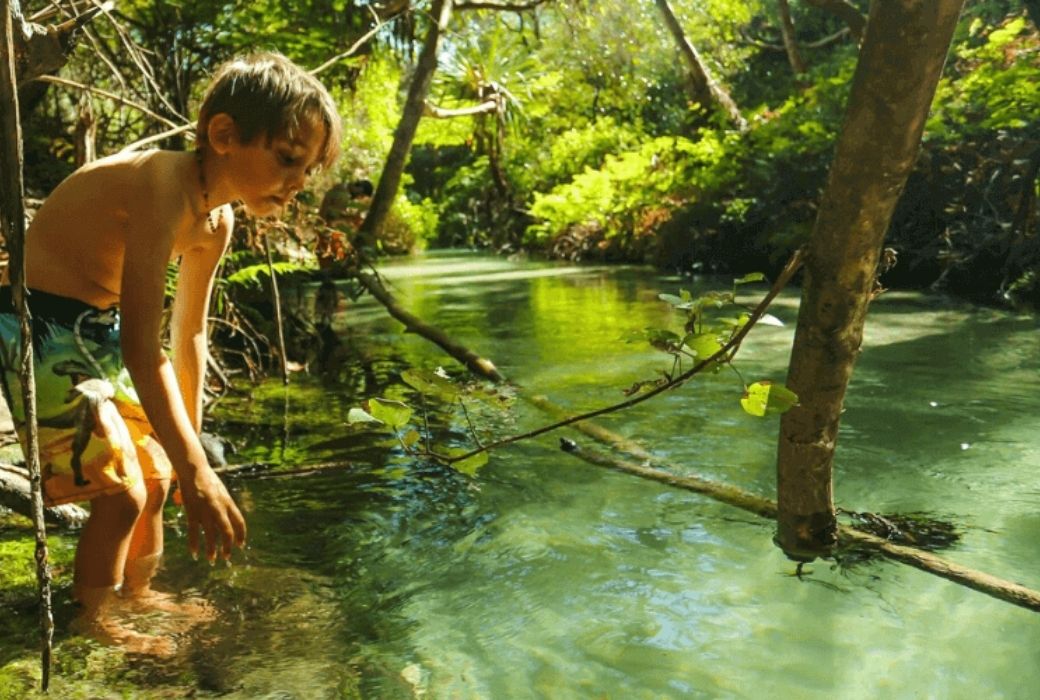 Fraser Island with kids