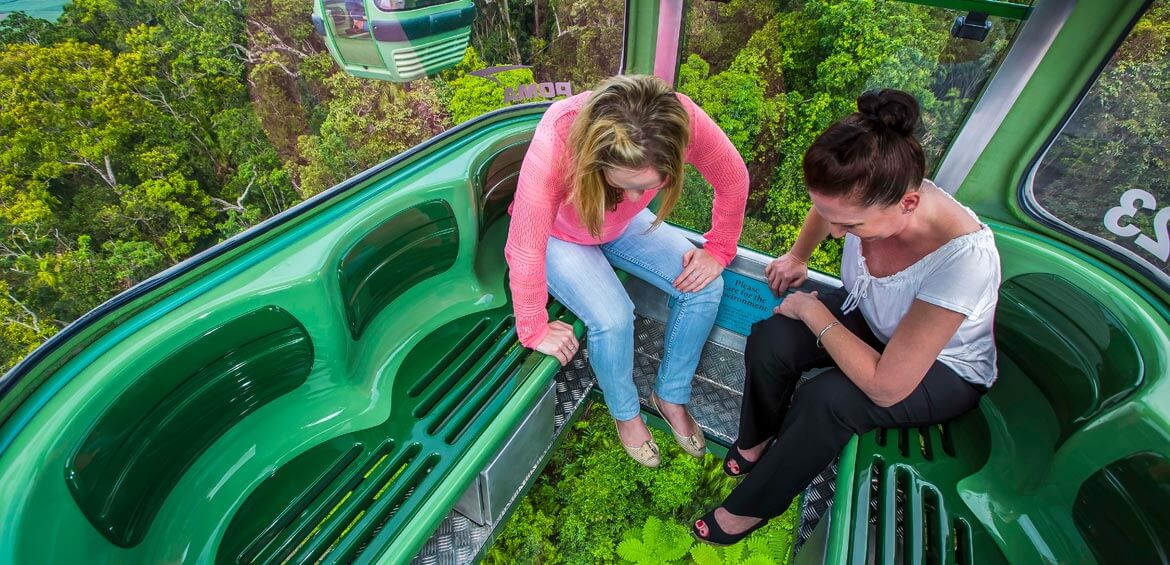 Glass floor, Skyrail Rainforest Cableway
