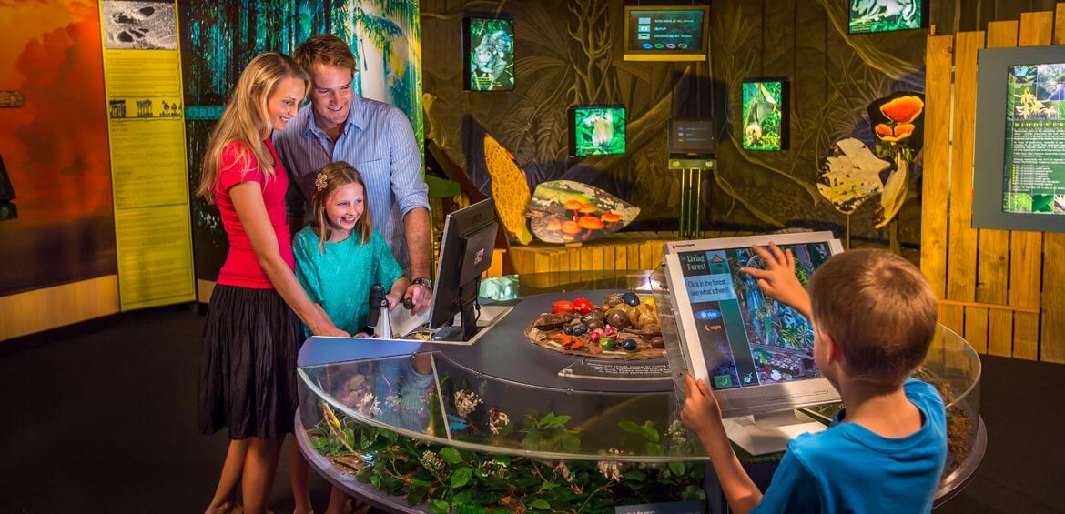 Inter Centre Family, Skyrail Rainforest Cableway