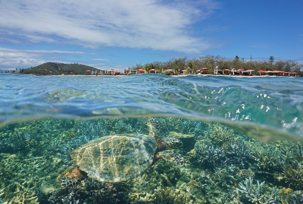 Isle de Canard, New Caledonia
