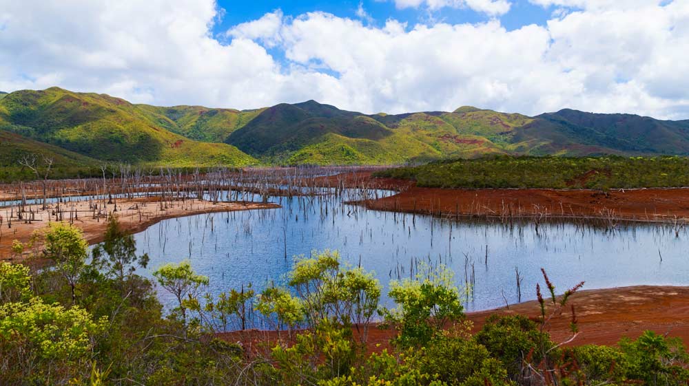 Blue River Provincial Park (Parc Provincial de la Rivière Bleue), New Caledonia