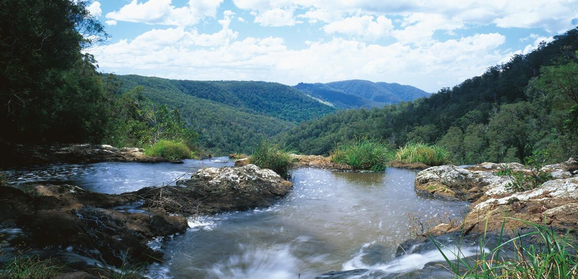 Springbrook National Park