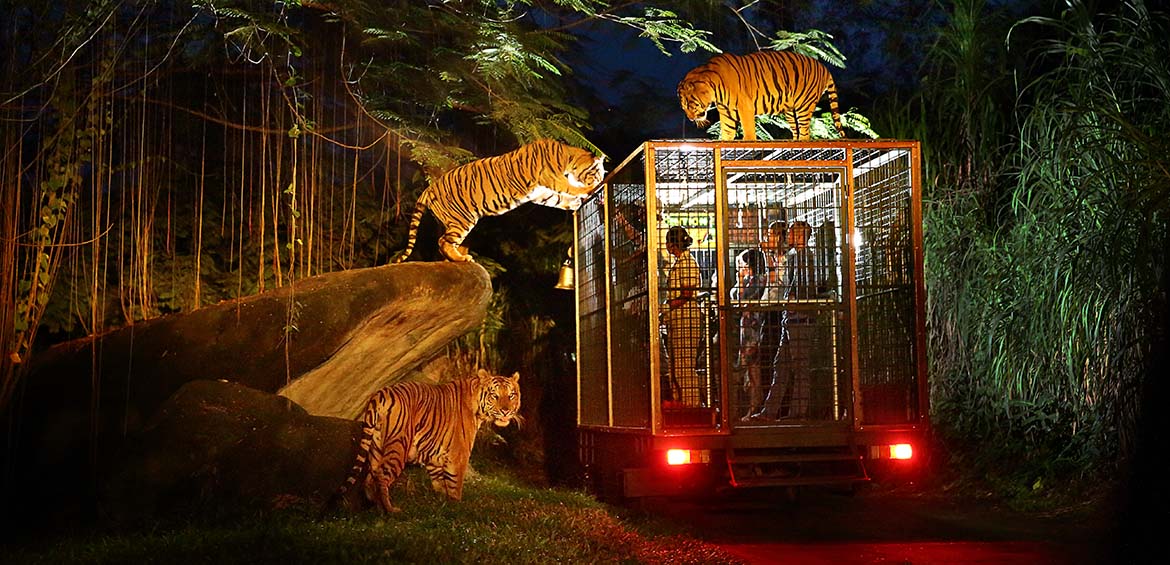 Bali Safari and Marine Park