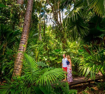 Exploring Cairns Colonial Club Resort