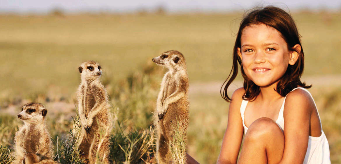 Africa, Safari, Meerkat, Family