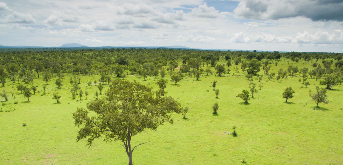 Azura Selous, Tanzania, safari, Africa