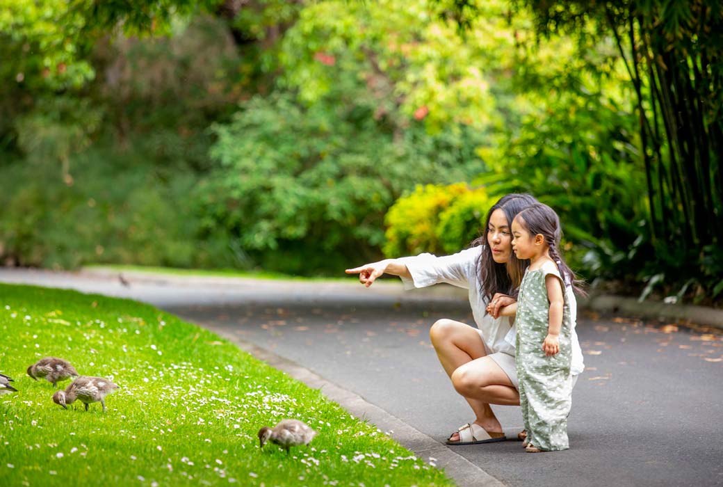 Visit the Royal Botanic Gardens Melbourne when you spend 48 hours in Melbourne with kids