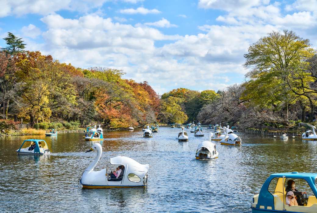 Inokashira Park © Tokyo Convention & Vistors Bureau