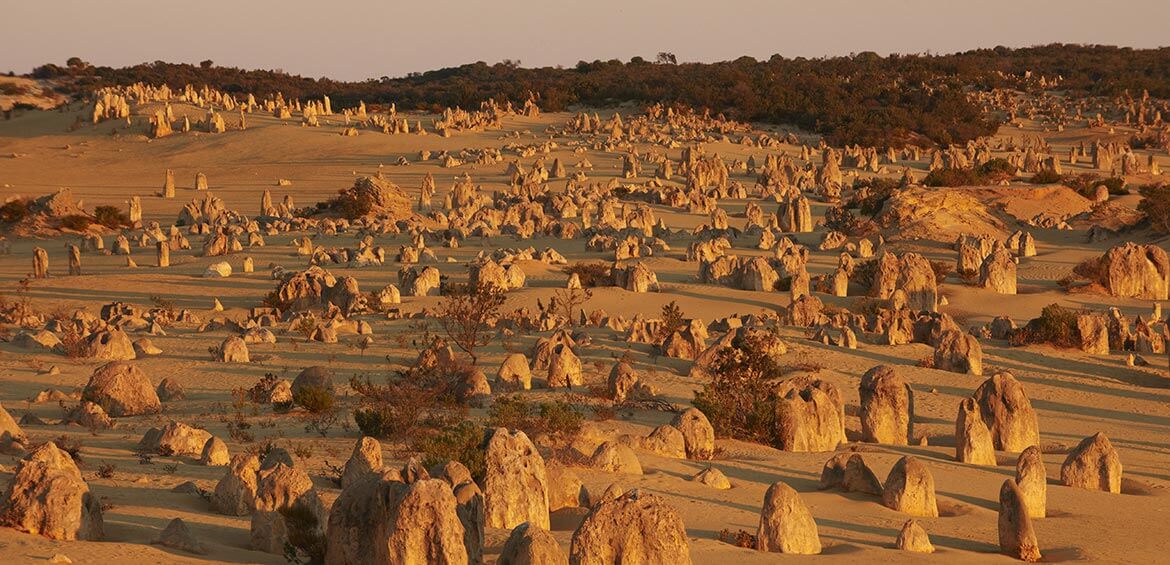 The Pinnacles, Nambung National Park