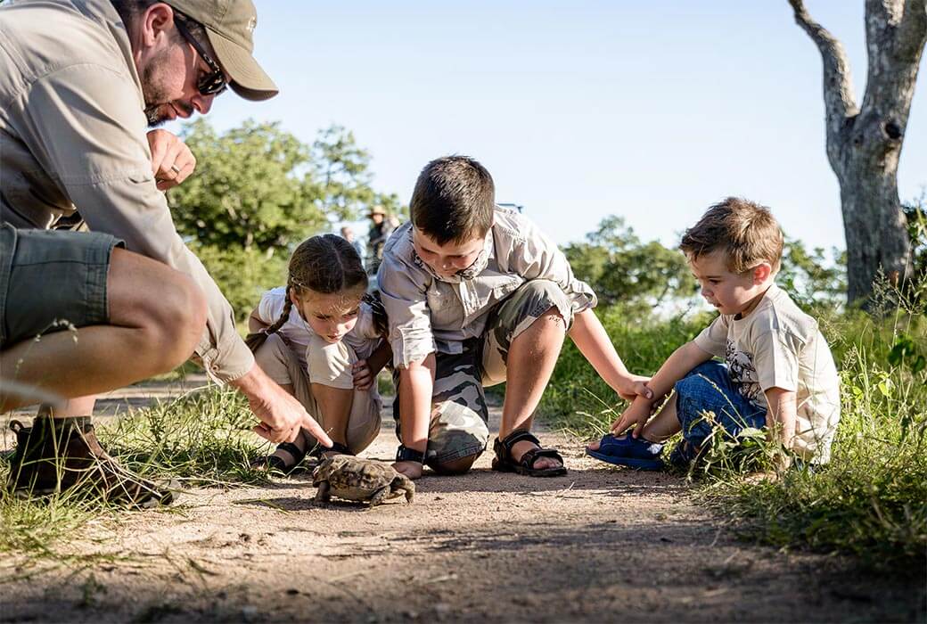 Conservation programme in South Africa