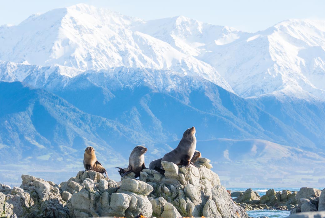 Kaikoura in the South Island of NZ