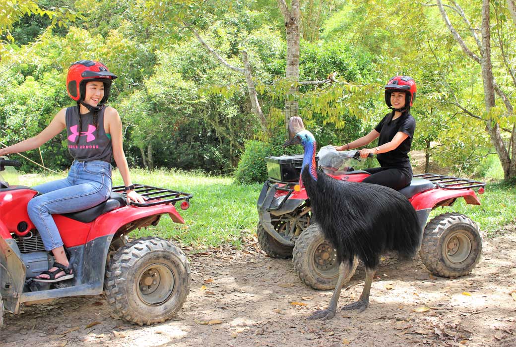 Kuranda Rainforest Journeys