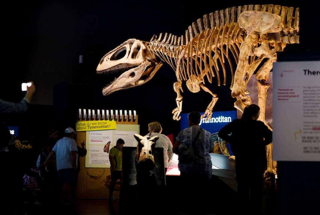 Tyrannotitan Boola Bardip Dinosaurs of Patagonia © Luke Riley