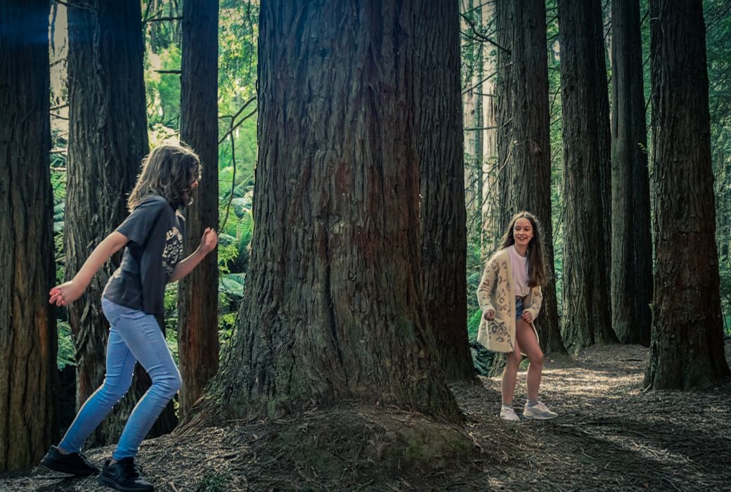 Visit The Redwoods on the Great Ocean Road