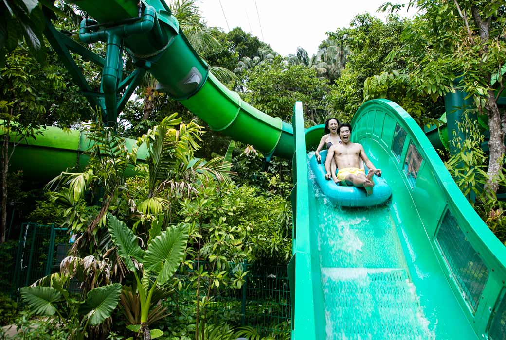 Adventure Cove Waterpark