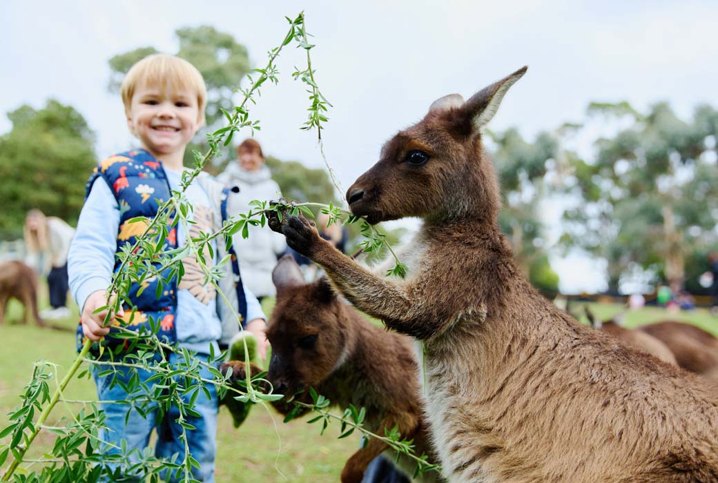 Ballarat Wildlife Park
