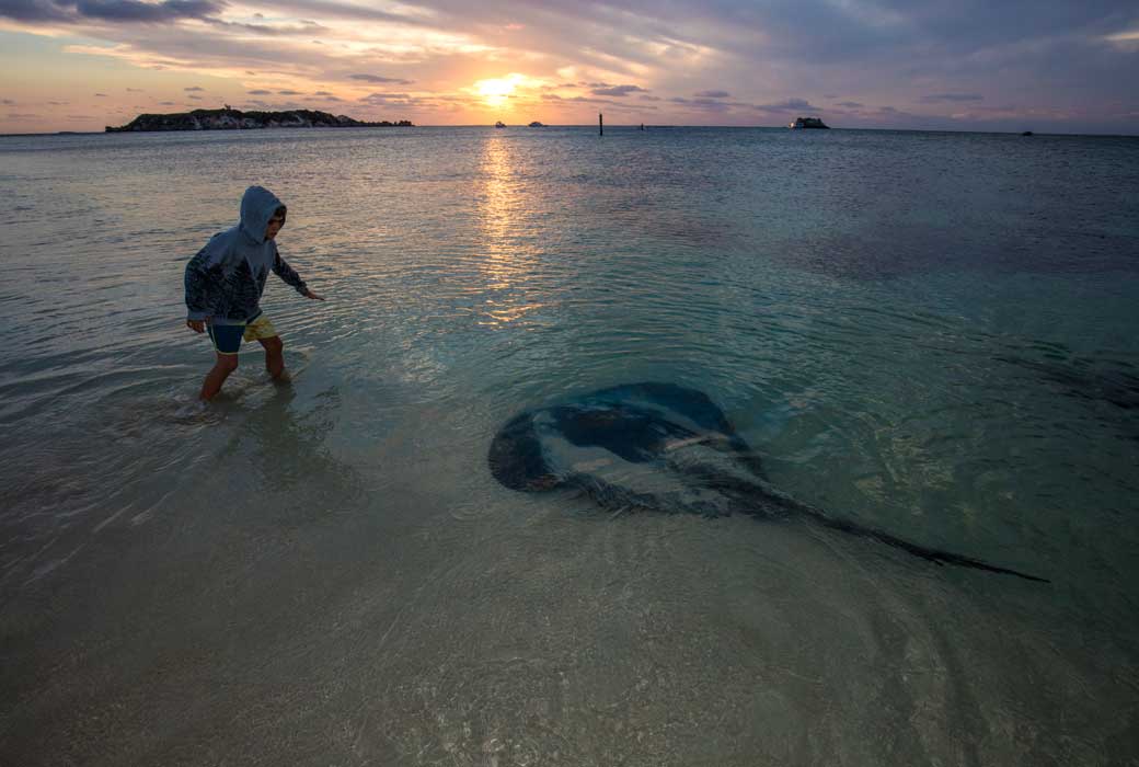 Hamelin Bay, near Augusta