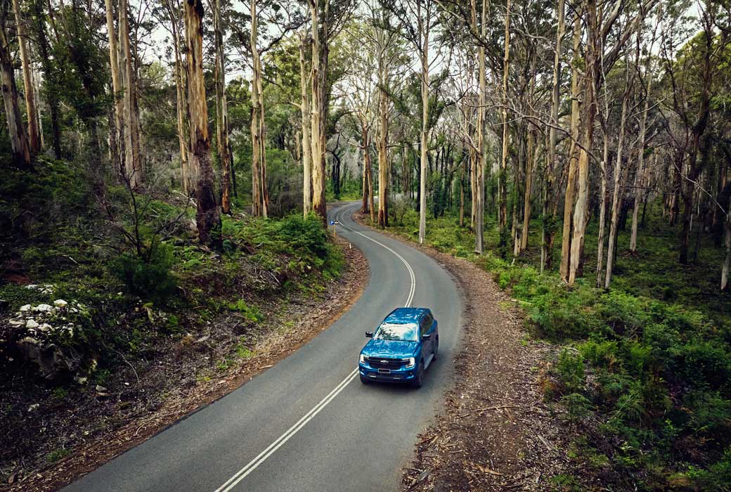 Boranup Forest, things to do in the Margaret River region