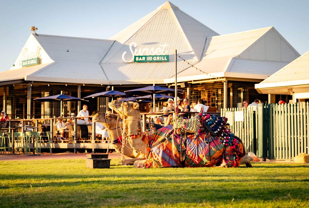 Camel beside Sunset Bar & Grill at Cable Beach Club Resort