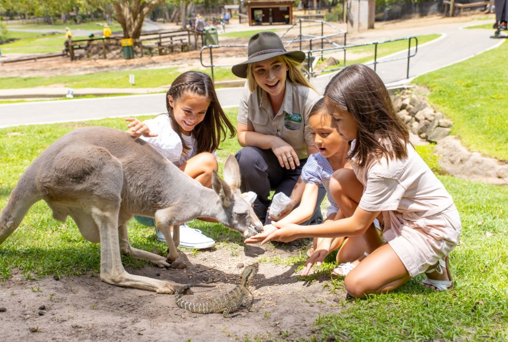 Kids petting kangaroo at Currumbin Wildlife Sanctuary