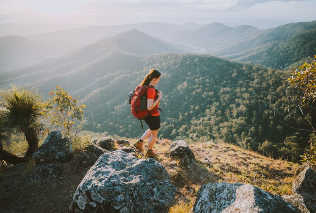 Lamington National Park