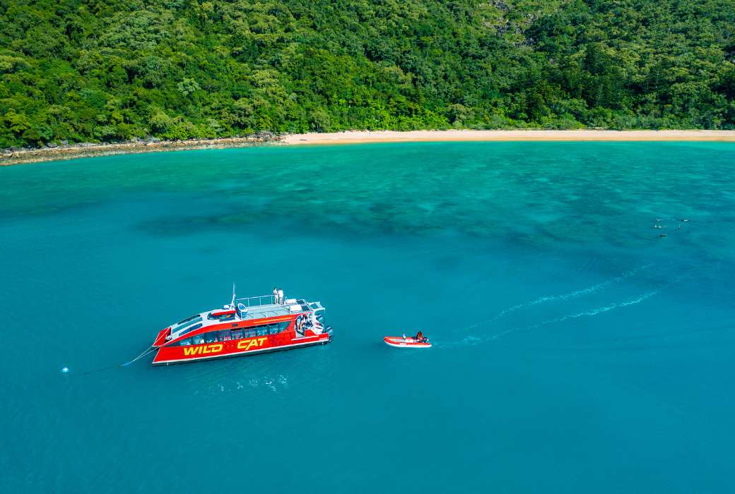 A Wildcat Mackay boat cruising along the shore