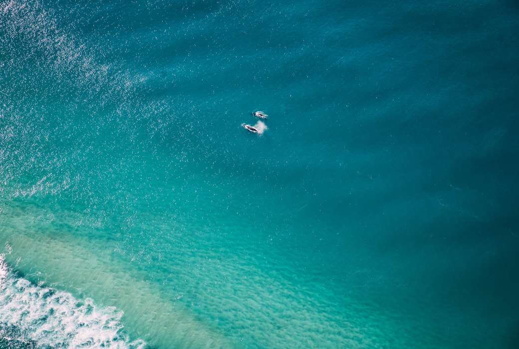 Whales in Surfers Paradise