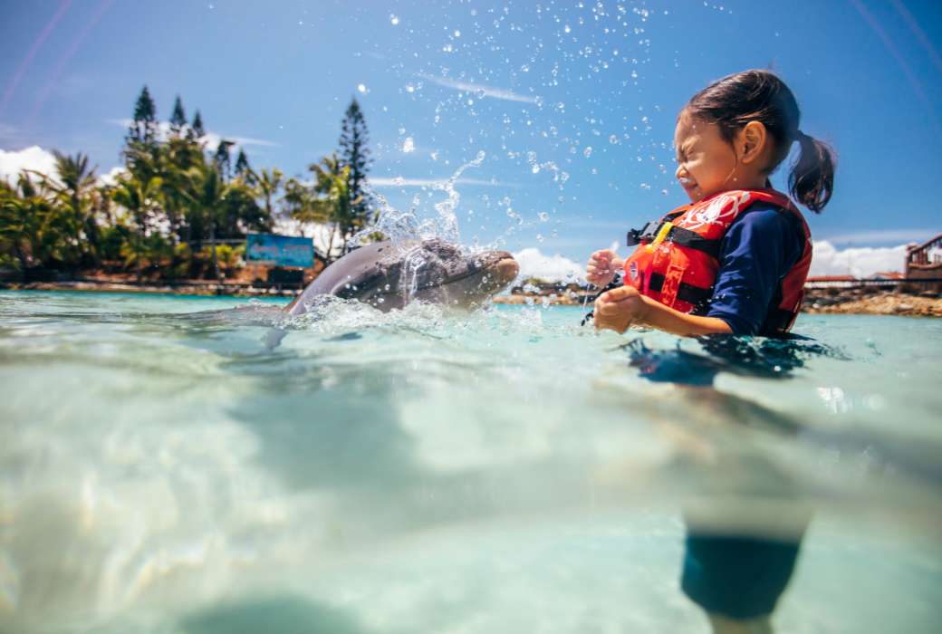 Girl meeting a dolphin at Sea World in Surfers Paradise