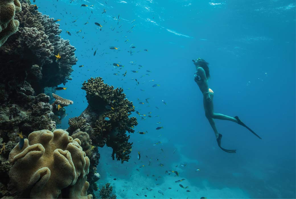 Great Barrier Reef swimming