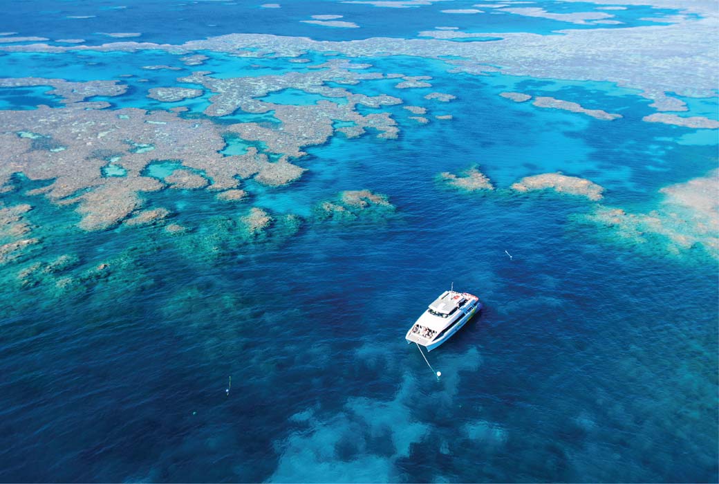 Great Barrier Reef tour