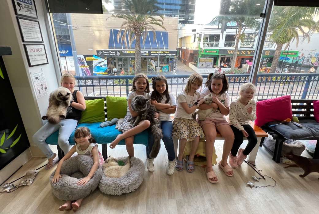 Kids at the Crazy Cat Cafe in Surfers Paradise