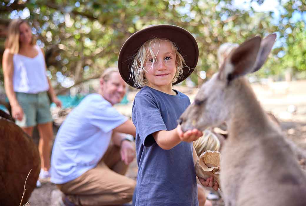 Boy feeding a kangaroo at Wildlife Habitat Port Douglas