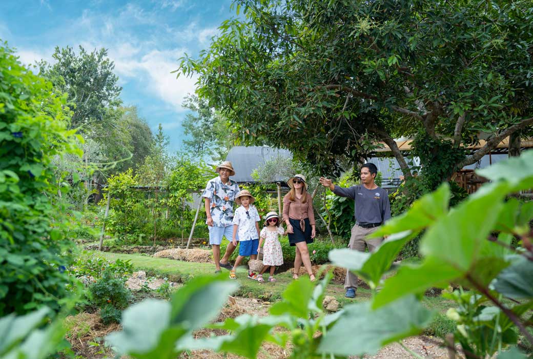 Take a farm walk at AYANA Bali