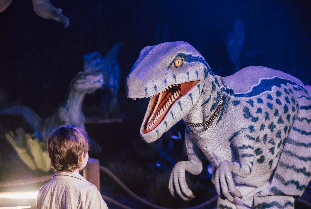 little boy face to face with dinosaur