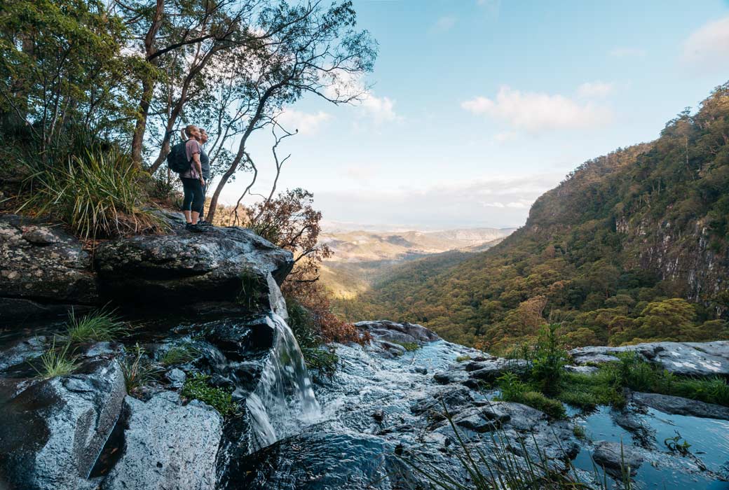 Lamington National Park on the Gold Coast