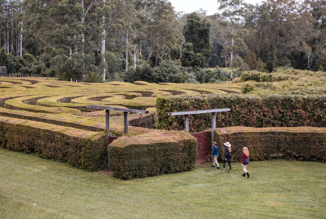 Kids entering the Bago Maze