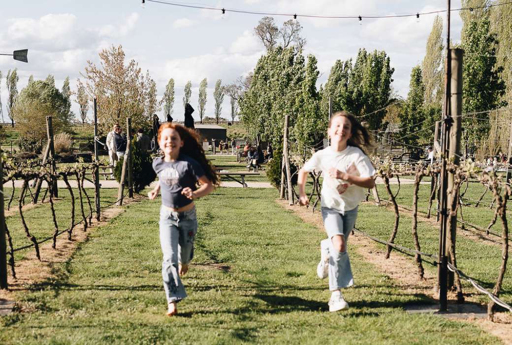 Kids in the vineyards at Heifer Station Wines