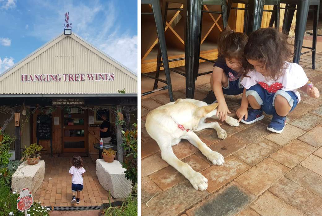 Kids with dog at Hanging Tree Wines