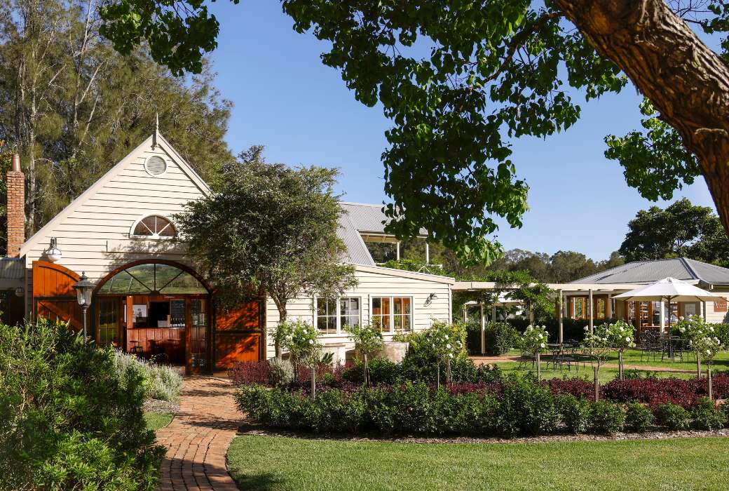 Pepper Tree Wines