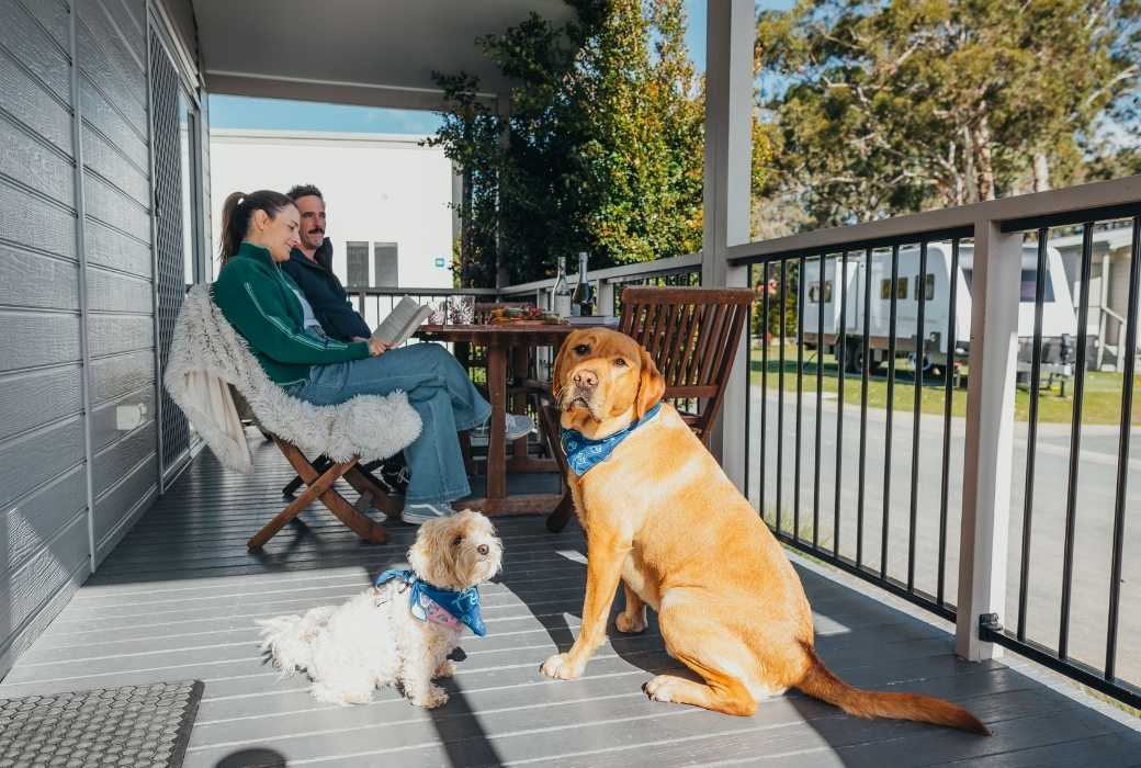 family with their dog at a holiday haven cabin