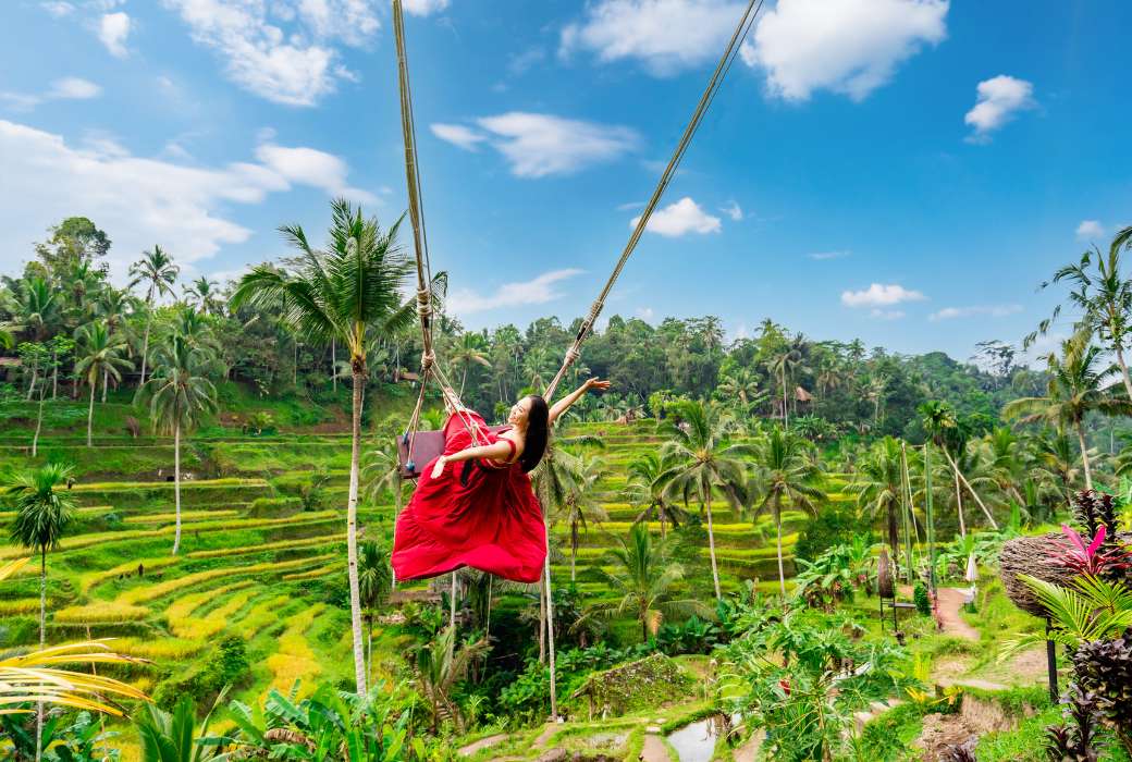 Tegalalang Rice Terrace swing, Ubud