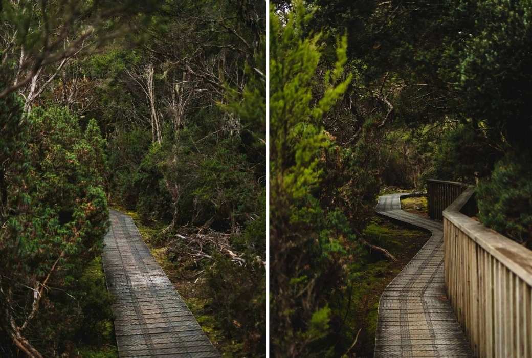 walking track at cradle mountain in tasmania